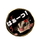 モモンガ（ふぅた）の日常（個別スタンプ：4）