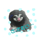 モモンガ（ふぅた）の日常（個別スタンプ：7）