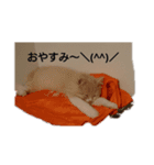ミント1（個別スタンプ：4）