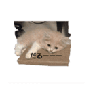 ミント1（個別スタンプ：6）