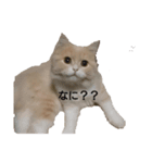 ミント1（個別スタンプ：7）