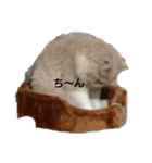 ミント1（個別スタンプ：8）
