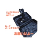 シュナのあんずちゃんNo.1（個別スタンプ：8）