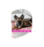 はるはるくんです（個別スタンプ：2）