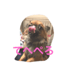 はるはるくんです（個別スタンプ：3）