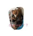 はるはるくんです（個別スタンプ：4）