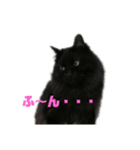黒猫ツァオツァオ（個別スタンプ：7）