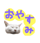 イブたんルブたんスタンプ（個別スタンプ：3）
