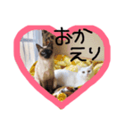 イブたんルブたんスタンプ（個別スタンプ：4）