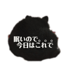 黒ポメショコラ（個別スタンプ：2）