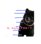黒ポメショコラ（個別スタンプ：6）