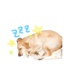 あずの毎日（個別スタンプ：9）