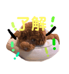 トイプ〜Sena〜（個別スタンプ：5）