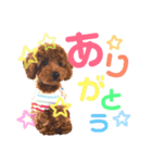 トイプ〜Sena〜（個別スタンプ：8）