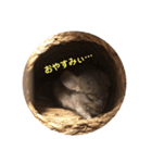 ととまるスタンプ（個別スタンプ：16）