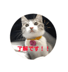 てんてんの日常スタンプ（個別スタンプ：7）
