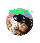みわちん（個別スタンプ：6）
