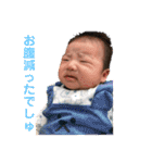 こんにちわ！たっちくんスタンプ（個別スタンプ：16）