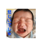 こんにちわ！たっちくんスタンプ（個別スタンプ：35）
