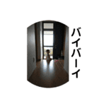 菫鈴（個別スタンプ：12）
