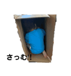 菫鈴（個別スタンプ：24）