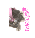 イタグレ リリー2（個別スタンプ：2）