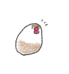 もちもち文鳥（個別スタンプ：3）