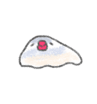 もちもち文鳥（個別スタンプ：5）