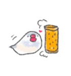 もちもち文鳥（個別スタンプ：11）