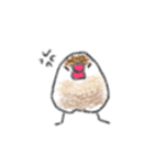 もちもち文鳥（個別スタンプ：12）