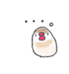 もちもち文鳥（個別スタンプ：23）