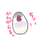 もちもち文鳥（個別スタンプ：24）
