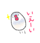もちもち文鳥（個別スタンプ：28）