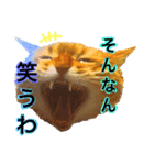 あるちゃんのすたんぷ（個別スタンプ：2）