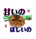 あるちゃんのすたんぷ（個別スタンプ：3）