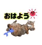 あるちゃんのすたんぷ（個別スタンプ：5）