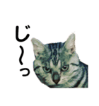 目つきの悪い猫 フィガロ（個別スタンプ：9）