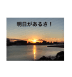 夕日、夕方、日没に関連したメッセージ（個別スタンプ：10）