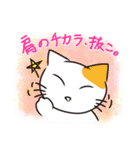 ねこさんで気持ち伝えるスタンプ（個別スタンプ：12）