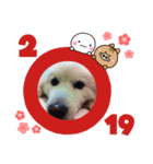 フォックスドッグライフ（個別スタンプ：2）
