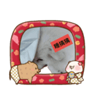 フォックスドッグライフ（個別スタンプ：5）