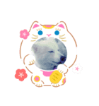 フォックスドッグライフ（個別スタンプ：6）