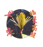 おはようございます祝福の挨拶-常緑の花（個別スタンプ：20）