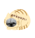 シーズーの道草2（個別スタンプ：3）