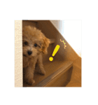 べるちゃんの日常会話で使えるスタンプ（個別スタンプ：2）