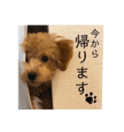 べるちゃんの日常会話で使えるスタンプ（個別スタンプ：16）