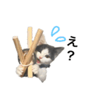 子猫のそらくん（個別スタンプ：22）