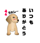 ダックス君（個別スタンプ：1）