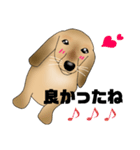 ダックス君（個別スタンプ：4）