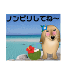 ダックス君（個別スタンプ：8）